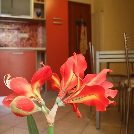 Bed and Breakfast Pisa Town Exterior foto