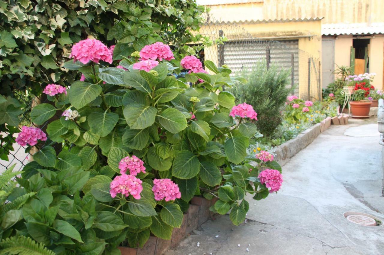Bed and Breakfast Pisa Town Exterior foto